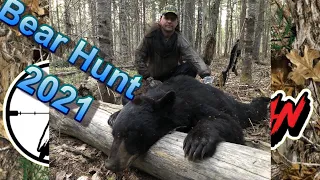 Spring Black Bear Hunt 2021