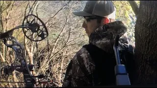 BIG New York BUCK, Deer Everwhere!- Opening Week of NY Archery Season 2019