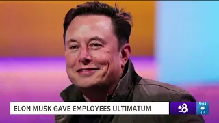 Joel Patterson on Elon Musk's ultimatum to employees at Twitter