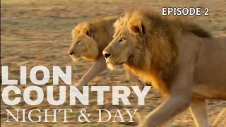 Pride in Conflict E2 | Lion Country Night And Day | wildlife documentary | wild Planet Hindi