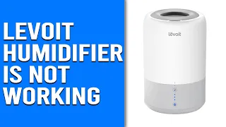 Levoit Humidifier is Not Working - How to Reset a Levoit Humidifier