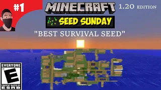 The Best Survival Seed In Minecraft 1.20