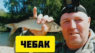 Речка Силинка || Рыбалка на чебака