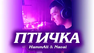 HammAli & Navai - Птичка (cover by КИНАМ)
