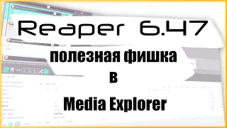 Reaper 6.47 - Наконец-то varispeed pitch shift в Media Explorer!