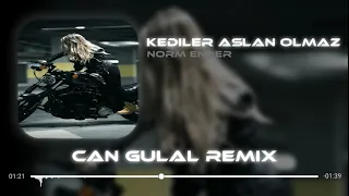 Norm Ender - Kediler Aslan Olmaz - Can Gülal REMİX