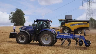 New Holland CX6.80. Żniwa po polsku.