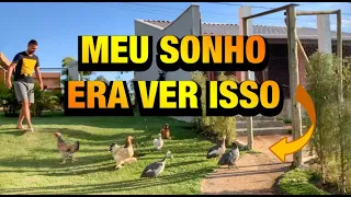 É ISSO que dá QUERER morar no CAMPO | Henrique Buttler