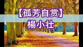 孤芳自赏 - 楊小壮  【歌词版 | 无损高音质】