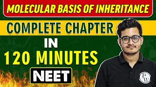 MOLECULAR BASIS OF INHERITANCE in 120 Minutes || Complete Chapter for NEET