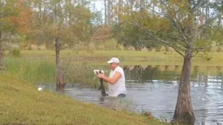 Man rescues puppy from alligator's jaws