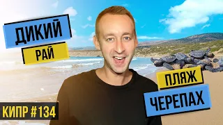 ЛУЧШИЙ пляж Кипра для ХОРОШЕГО отдыха / ЧЕРЕПАШИЙ ПЛЯЖ / Настоящий КИПР / АКАМАС / ПАФОС / 2020