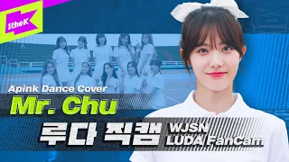 우주소녀 루다 '미스터 츄' 직캠 | WJSN LUDA fancam | 에이핑크(Apink) | Mr. Chu | 올라운돌(All Rounder IDOL) | Dance Cover