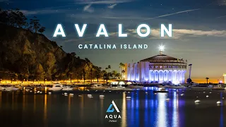 AVALON  |  Catalina Island  |  AQUA DELMAR CLIPS