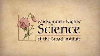 Midsummer Nights' Science: Cancer drug discovery in the post-genomic era (2011)