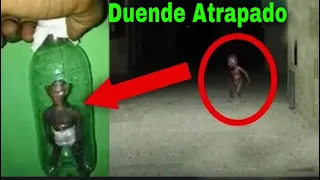 Duende Real Atrapado Por Primera Vez en la vida real