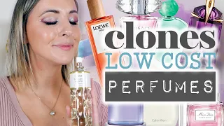 Clones low cost de perfumes de alta gama