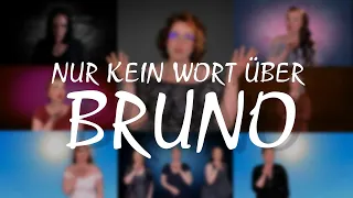 NUR KEIN WORT ÜBER BRUNO - Encanto Cover - Julia Vieregge