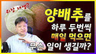 양배추를 하루 두번씩 매일 먹으면 무슨 일이 생길까? [한의학박사 김순렬]