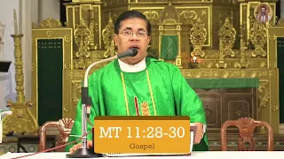 Konkani Mass -  14th July 2022 -  Fr. Bernard Fernandes  - SFX CHICALIM