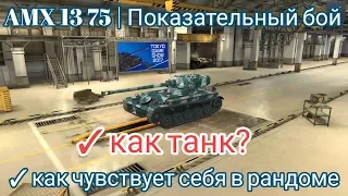 AMX 13 75 | Как танк | Показательный бой | Wot Blitz