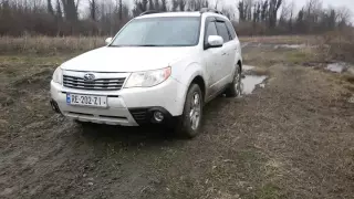 Subaru forester mud 2010