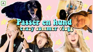 Passer en HUND!🐶// En crazy sommer vlogg! Se hva som skjedde #hund #venner #sommer #bading #vlogg