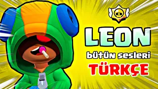 LEON BÜTÜN SESLERİ TÜRKÇE ANLAMI - Brawl Stars