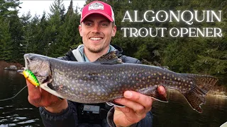 Backcountry Brook Trout Fishing in Algonquin Park | Shore Lunch Before Getting Caught in a Storm