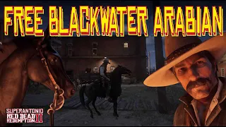 There is A Free Black Arabian in Blackwater, in Red Dead Redemption 2