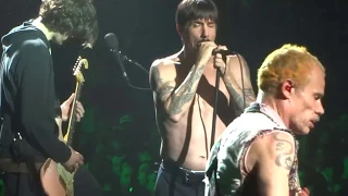 Red Hot Chili Peppers - Hunter Valley, Australia (23/02/2019)