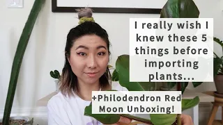 5 things I wish I knew before Importing Plants + Philodendron Red Moon Rare Plant Haul