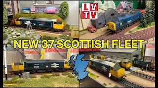 Bachmann New Class 37 Scottish Fleet : 37012, 37033 and 37043