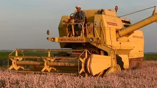 Combinen met : NEW HOLLAND Clayson 1540. Landb. Buijs.