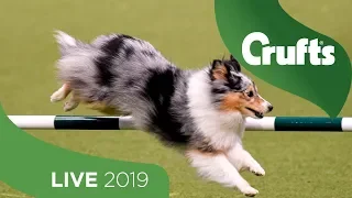 Crufts 2019 Day 2 - Part 1 LIVE