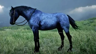 CABALLO DE DIAMANTE | RED DEAD REDEMPTION 2