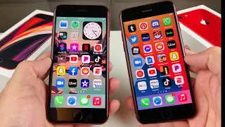 iPhone SE 2020 vs iPhone 8 Review: Worth the Upgrade?