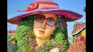 Dubai Miracle Garden, Dubai, UAE. The 3rd & 4th seasons, 2014-2016