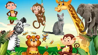 Cute Little Animals: Zebra, Penguin, Rabbit, Dog, Cat, Cow, Tiger | Animal Sounds