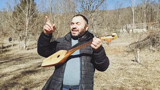 სევდიანი მოლოდინი - ირაკლი ზარდიაშვილი || Sevdiani Molodini - Irakli Zardiashvili