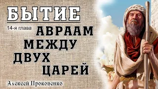 Книга Бытие 14-я глава. | Авраам между двух царей. | Алексей Прокопенко.