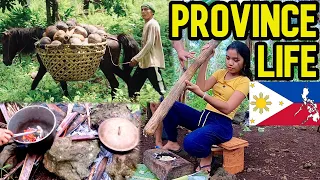 Countryside: Life in the Province of Philippines | Mindanao Province business idea