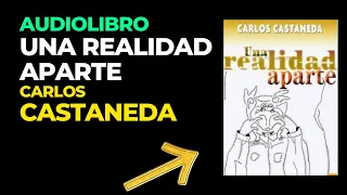 AUDIOLIBRO: Una Realidad Aparte - Carlos Castaneda (Audiobook Completo en Español)