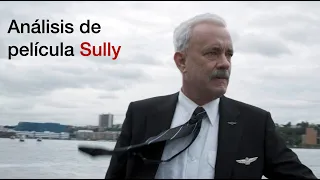 Sully: Análisis y toma de decisiones
