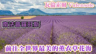 前往全世界最美的薰衣草花海 - 瓦倫索爾 Valensole I 南法普羅旺斯 I D6及D8薰衣草花田位置大公開