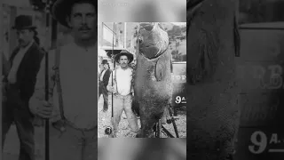 Ep.3 Unveiling Rare Historical Photos: A Journey Into The Past #history