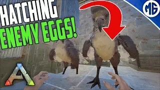 HATCHING ENEMY EGGS AND DEFENCES! DUO 5 man Ragnarok PvP | Ark: Survival Evolved
