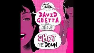 David Guetta feat Skylar Grey Shot Me Down Extended Mix
