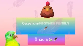 Топ ( хз сколько ) секреток в Feather family! 🪶🦢 | 2 часть 🪶