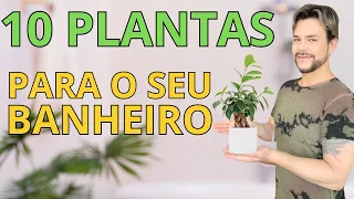 FENG SHUI: 10 PLANTAS PARA HARMONIZAR O SEU  BANHEIRO/ LUIZ NETTO